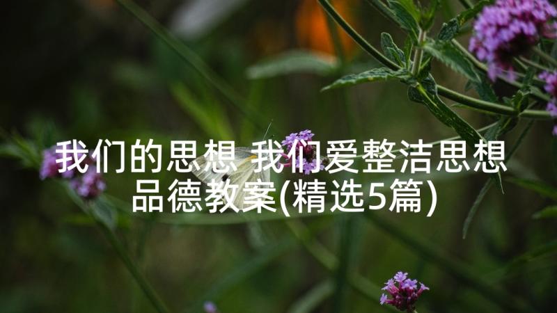 我们的思想 我们爱整洁思想品德教案(精选5篇)