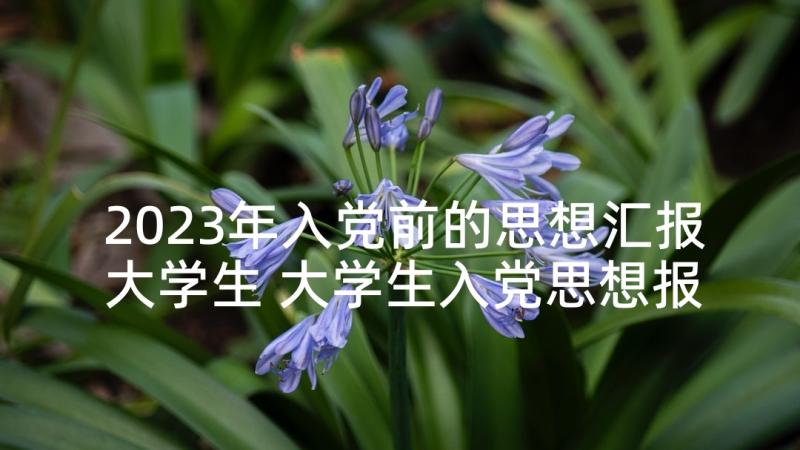 2023年入党前的思想汇报大学生 大学生入党思想报告(通用6篇)