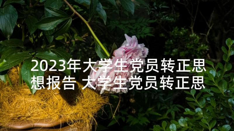 2023年大学生党员转正思想报告 大学生党员转正思想汇报(实用8篇)