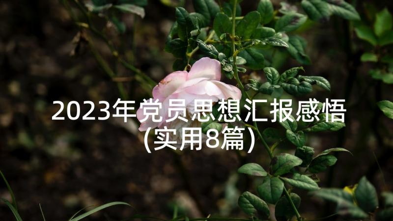 2023年党员思想汇报感悟(实用8篇)