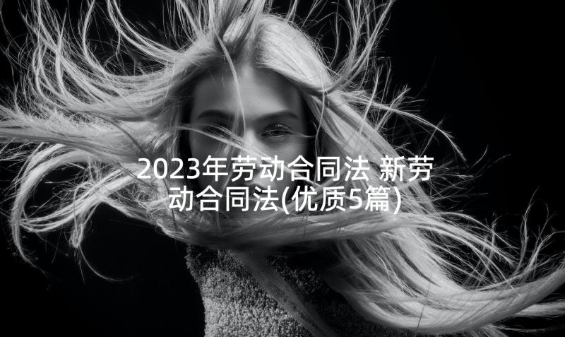 2023年劳动合同法 新劳动合同法(优质5篇)