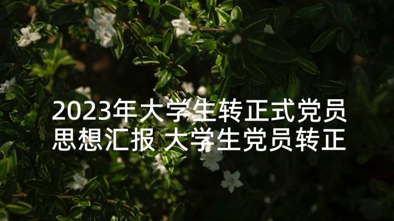 2023年大学生转正式党员思想汇报 大学生党员转正思想汇报(精选5篇)