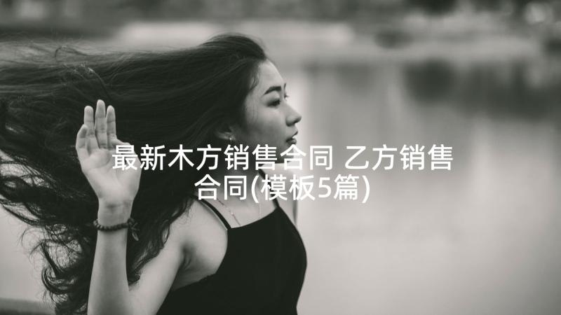 最新木方销售合同 乙方销售合同(模板5篇)