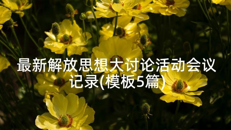 最新解放思想大讨论活动会议记录(模板5篇)