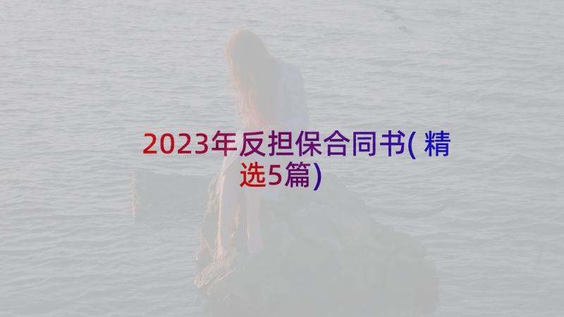 2023年反担保合同书(精选5篇)