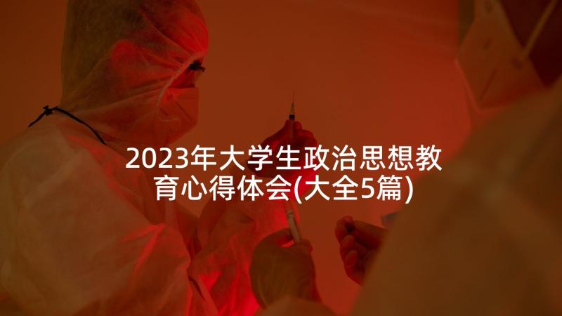 2023年大学生政治思想教育心得体会(大全5篇)