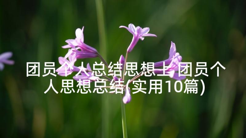 团员个人总结思想上 团员个人思想总结(实用10篇)