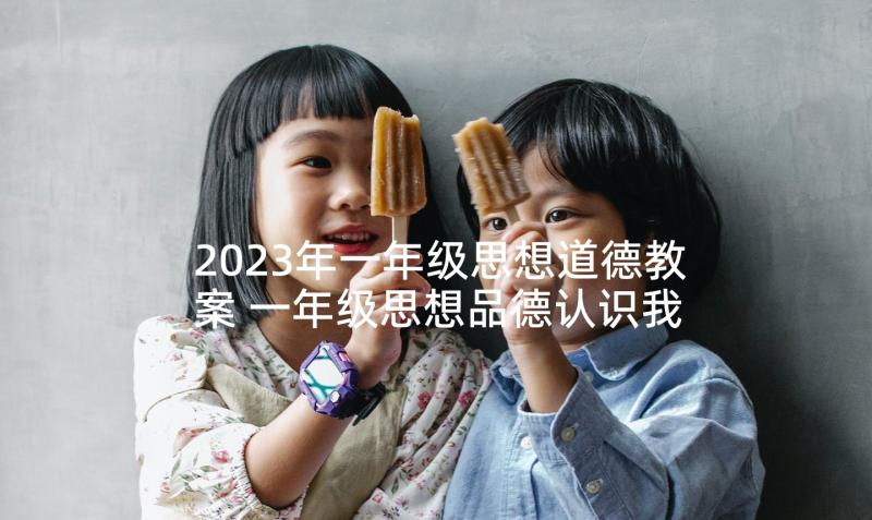 2023年一年级思想道德教案 一年级思想品德认识我自己教学反思(大全6篇)