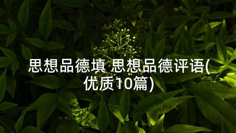 思想品德填 思想品德评语(优质10篇)