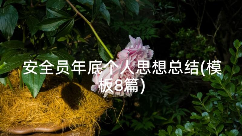 安全员年底个人思想总结(模板8篇)