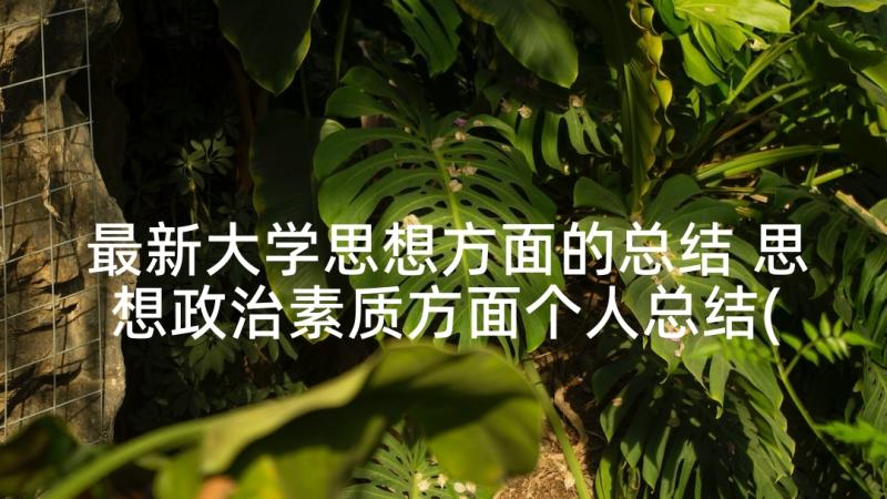 最新大学思想方面的总结 思想政治素质方面个人总结(精选8篇)