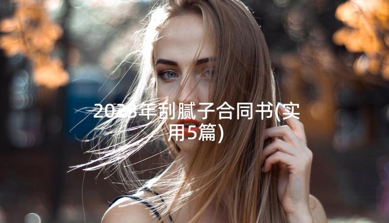 2023年刮腻子合同书(实用5篇)