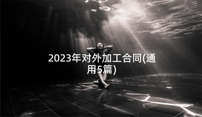 2023年对外加工合同(通用5篇)