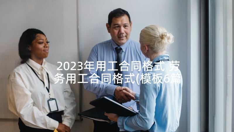 2023年用工合同格式 劳务用工合同格式(模板6篇)