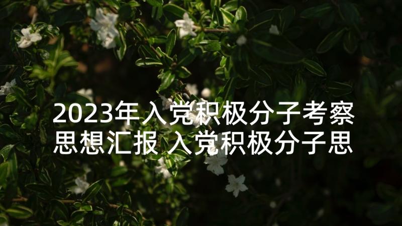 2023年入党积极分子考察思想汇报 入党积极分子思想汇报(优质7篇)