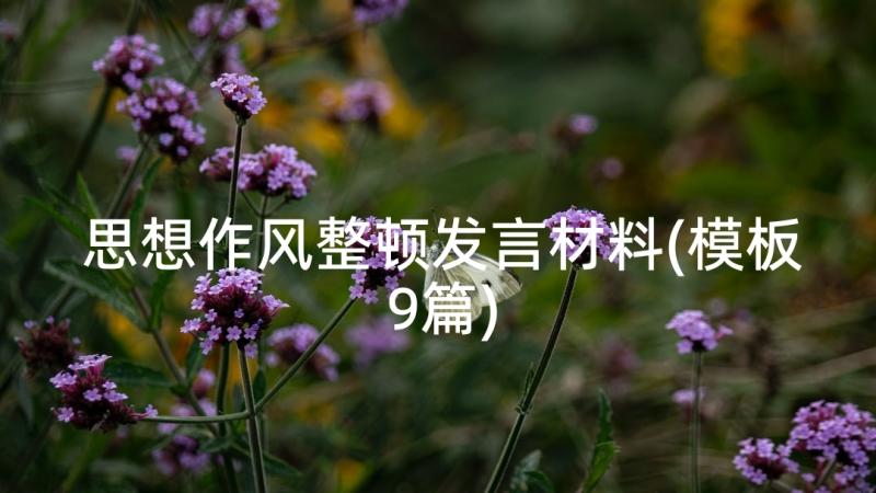 思想作风整顿发言材料(模板9篇)