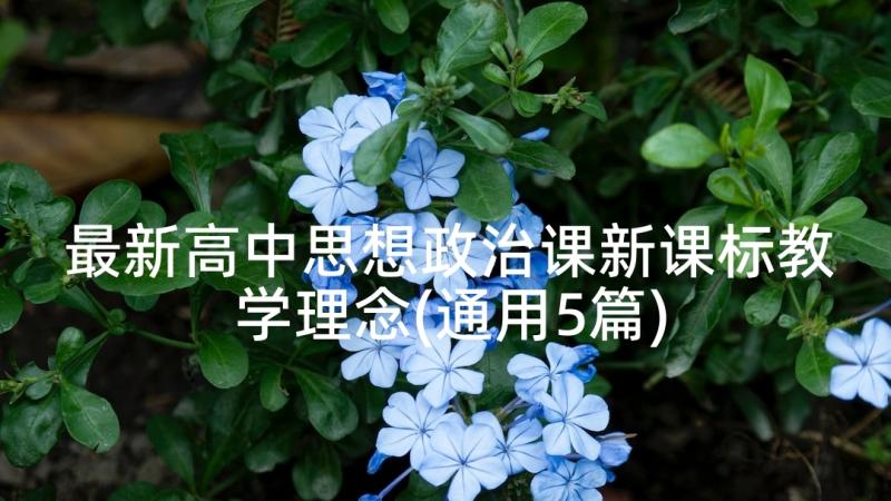 最新高中思想政治课新课标教学理念(通用5篇)