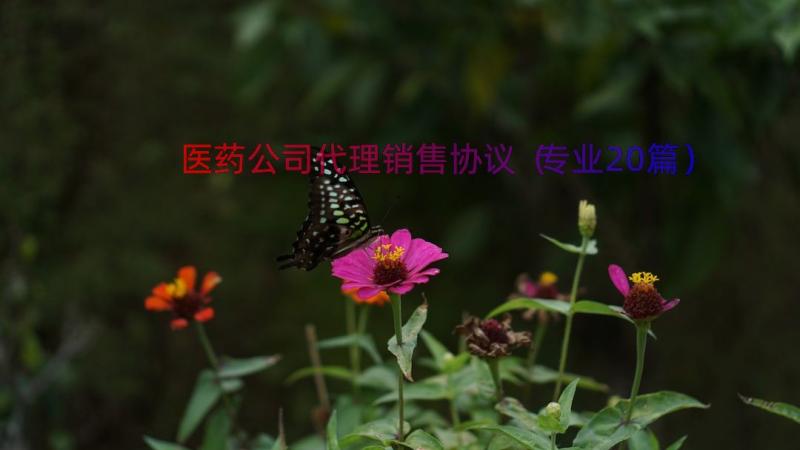 医药公司代理销售协议（专业20篇）