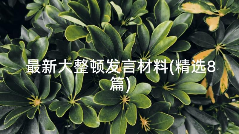 最新大整顿发言材料(精选8篇)