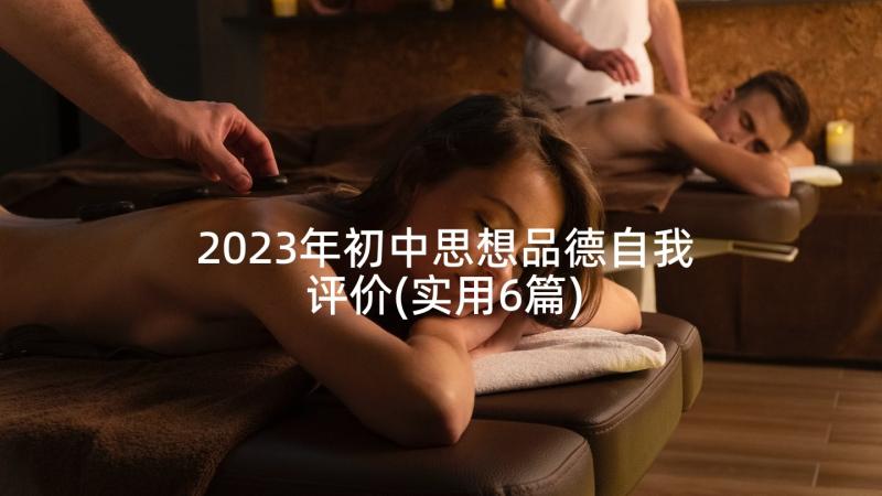 2023年初中思想品德自我评价(实用6篇)