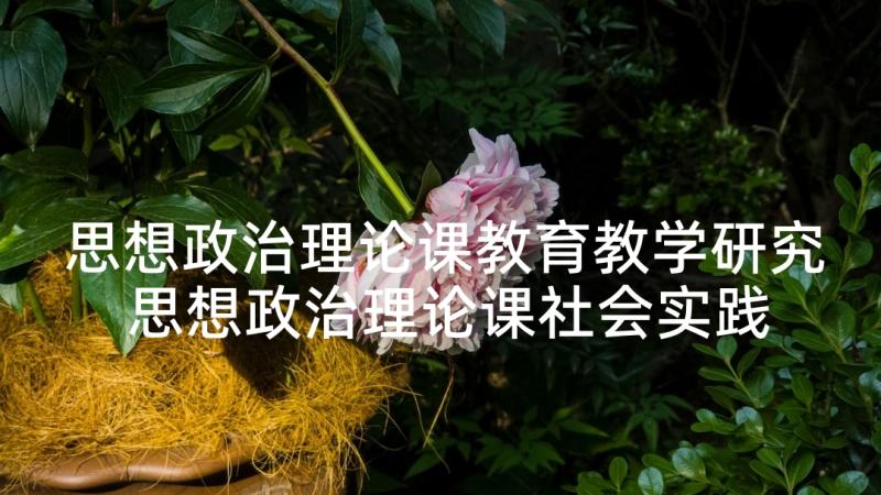 思想政治理论课教育教学研究 思想政治理论课社会实践报告(实用5篇)