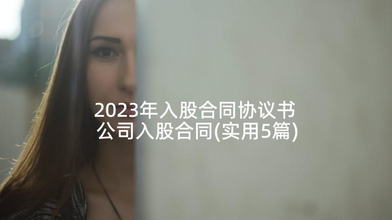 2023年入股合同协议书 公司入股合同(实用5篇)