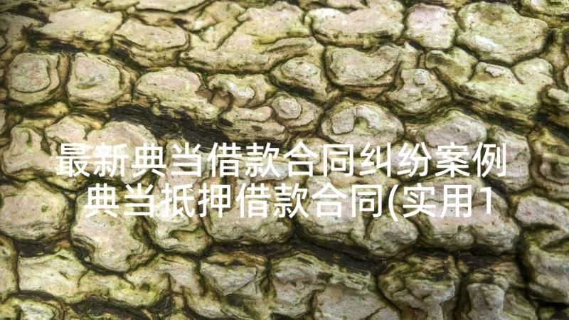 最新典当借款合同纠纷案例 典当抵押借款合同(实用10篇)