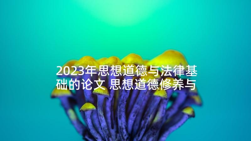 2023年思想道德与法律基础的论文 思想道德修养与法律基础心得体会(通用9篇)