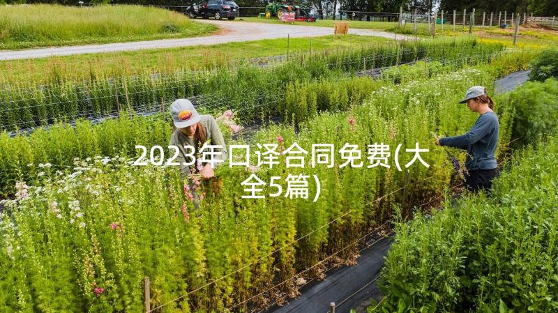 2023年口译合同免费(大全5篇)