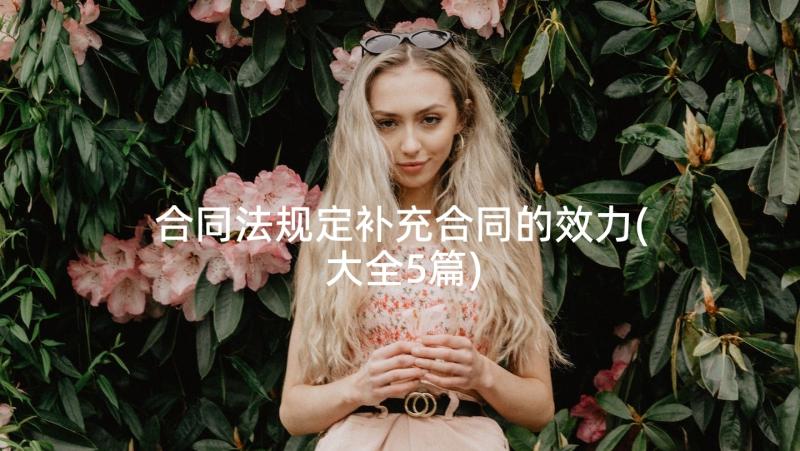 合同法规定补充合同的效力(大全5篇)