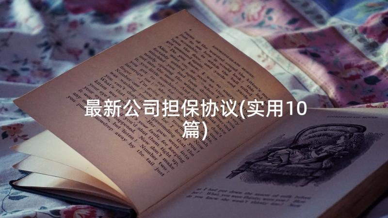 最新公司担保协议(实用10篇)