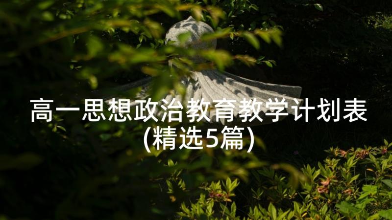 高一思想政治教育教学计划表(精选5篇)