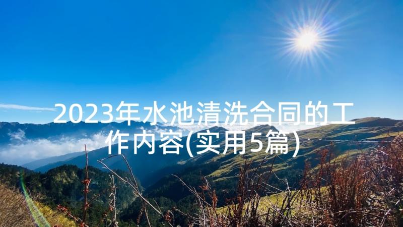 2023年水池清洗合同的工作内容(实用5篇)