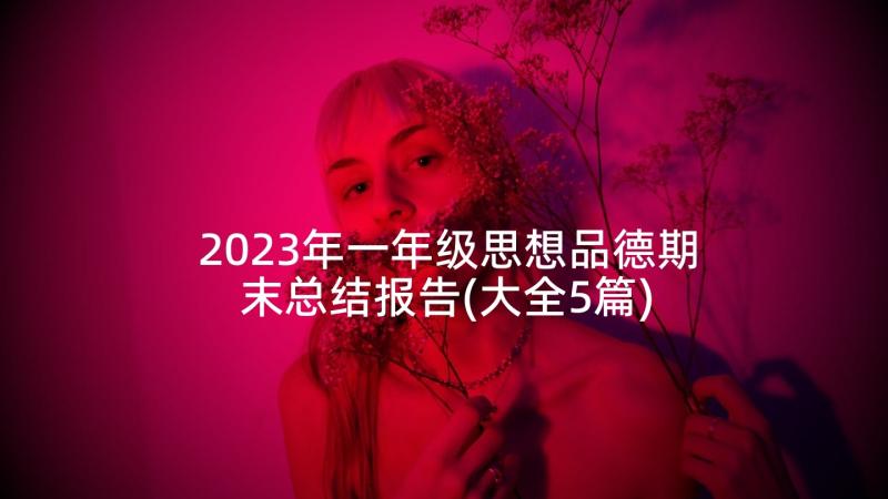 2023年一年级思想品德期末总结报告(大全5篇)