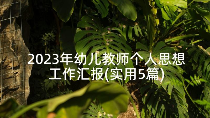 2023年幼儿教师个人思想工作汇报(实用5篇)