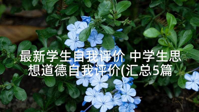 最新学生自我评价 中学生思想道德自我评价(汇总5篇)