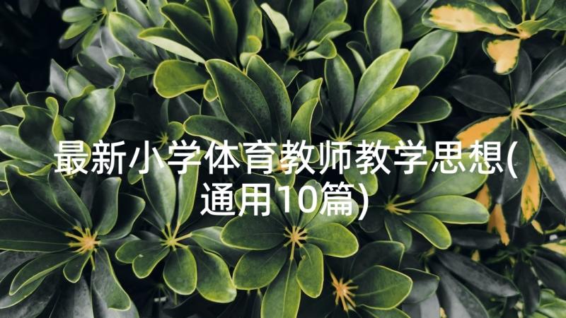 最新小学体育教师教学思想(通用10篇)