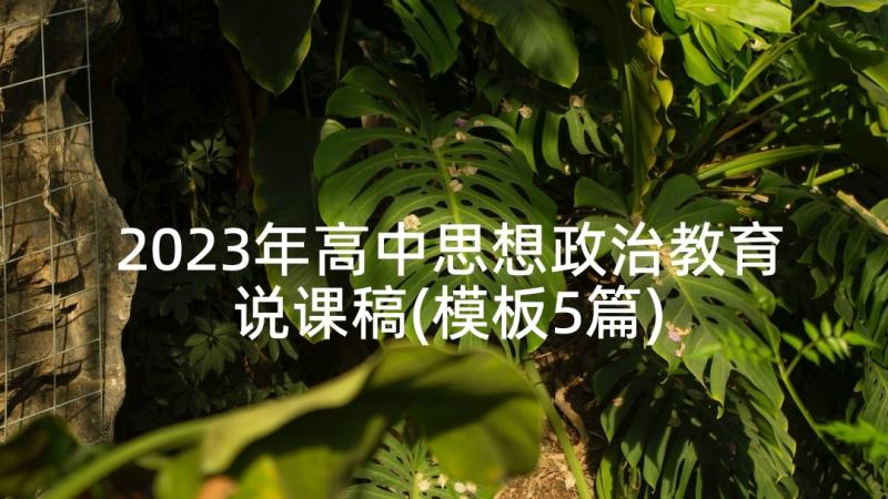 2023年高中思想政治教育说课稿(模板5篇)