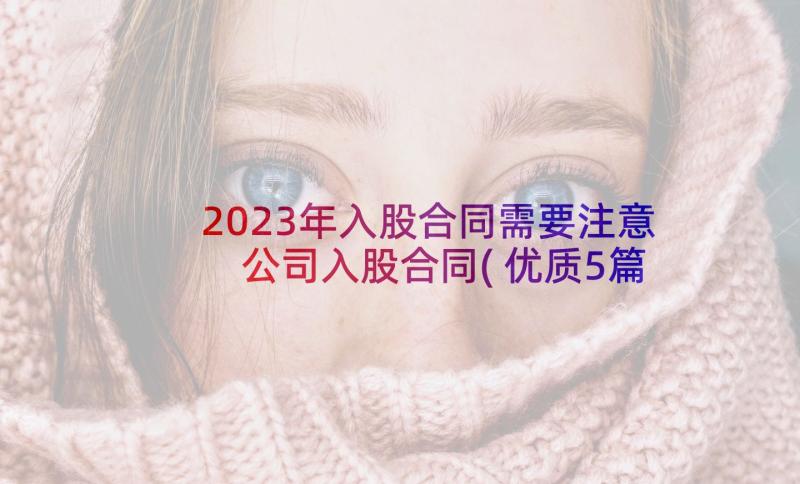 2023年入股合同需要注意 公司入股合同(优质5篇)