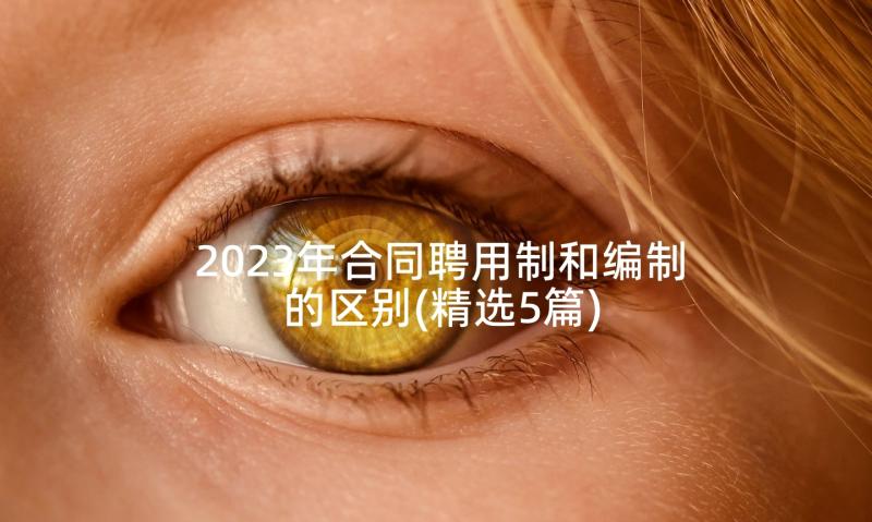 2023年合同聘用制和编制的区别(精选5篇)