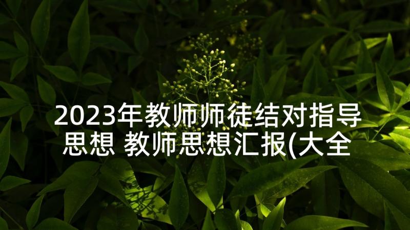 2023年教师师徒结对指导思想 教师思想汇报(大全7篇)