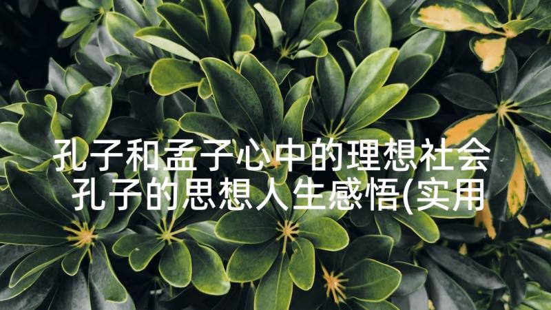 孔子和孟子心中的理想社会 孔子的思想人生感悟(实用7篇)