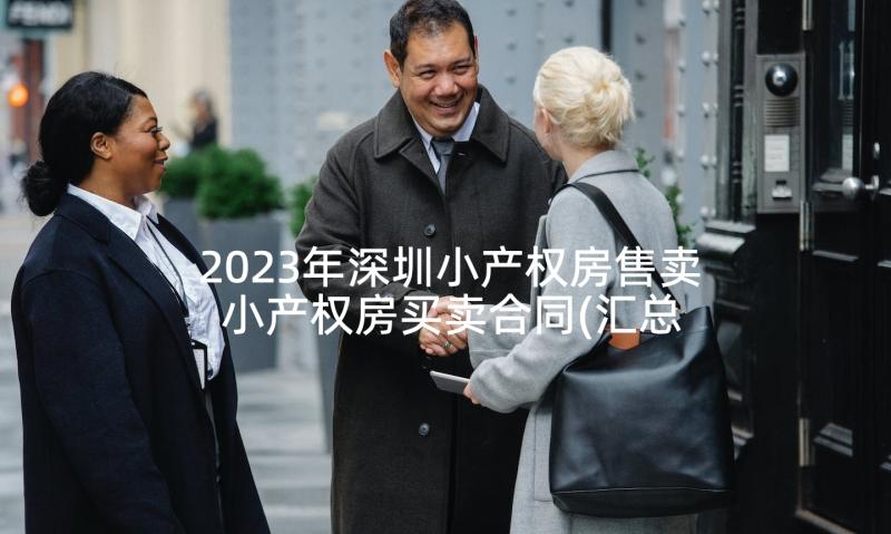 2023年深圳小产权房售卖 小产权房买卖合同(汇总6篇)