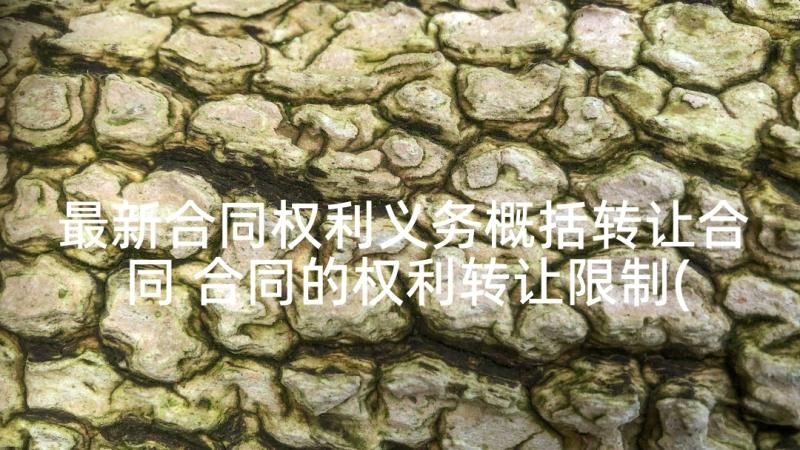 最新合同权利义务概括转让合同 合同的权利转让限制(通用5篇)