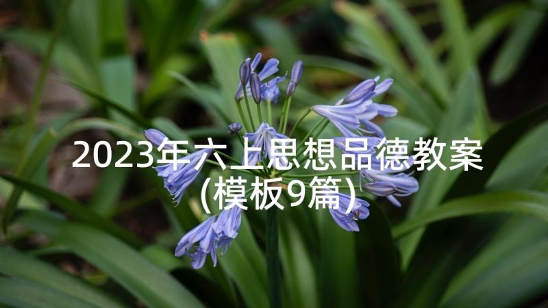 2023年六上思想品德教案(模板9篇)