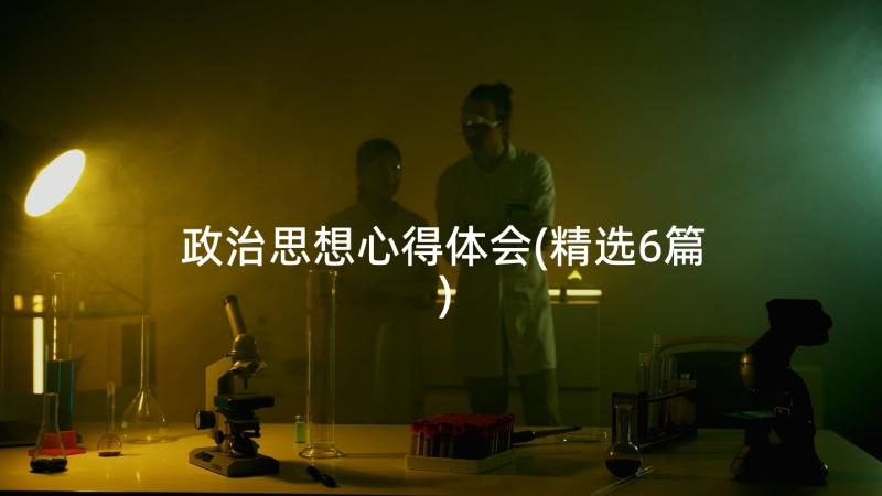 政治思想心得体会(精选6篇)