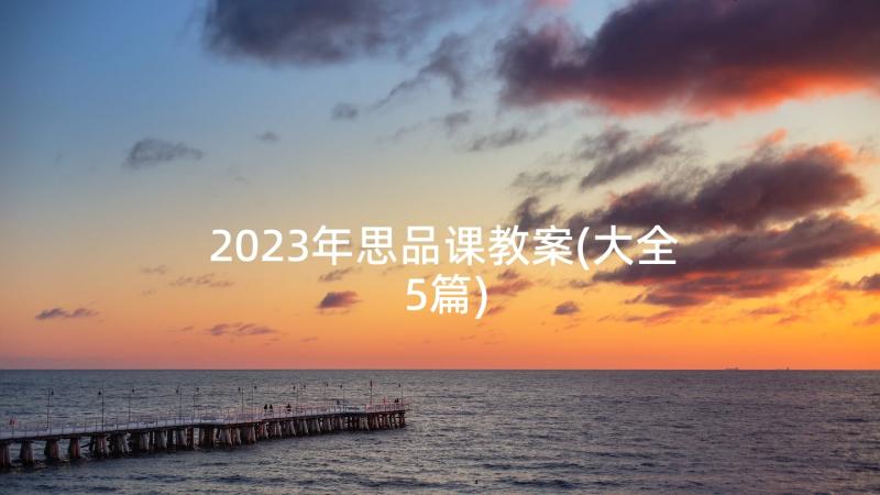 2023年思品课教案(大全5篇)