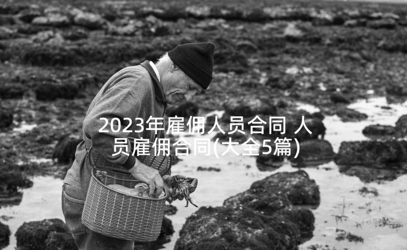 2023年雇佣人员合同 人员雇佣合同(大全5篇)