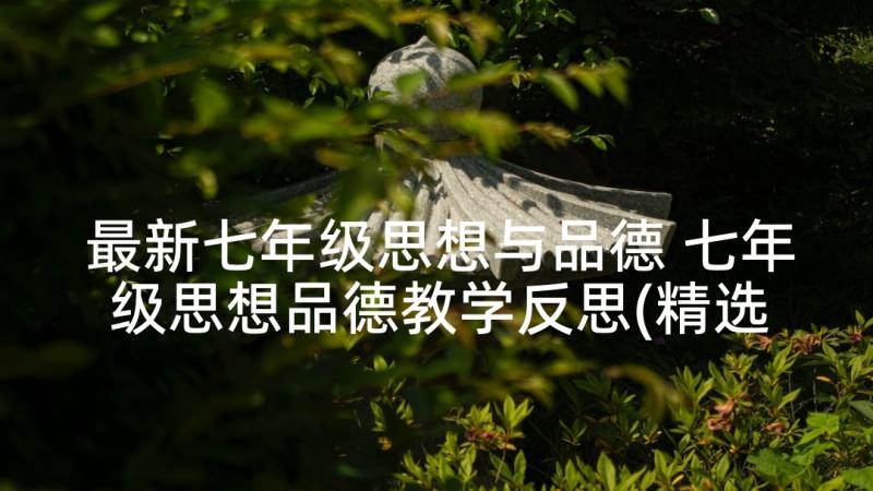 最新七年级思想与品德 七年级思想品德教学反思(精选5篇)