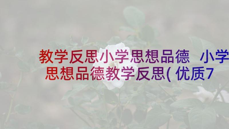 教学反思小学思想品德 小学思想品德教学反思(优质7篇)